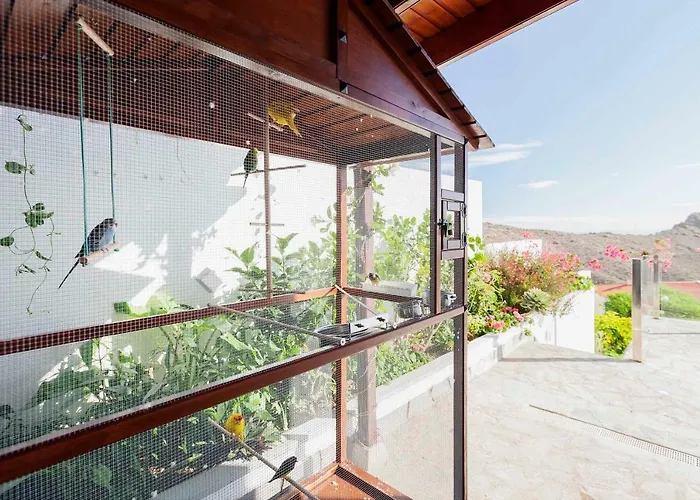 Sara In - Sara Vacation * Costa Adeje (Tenerife)