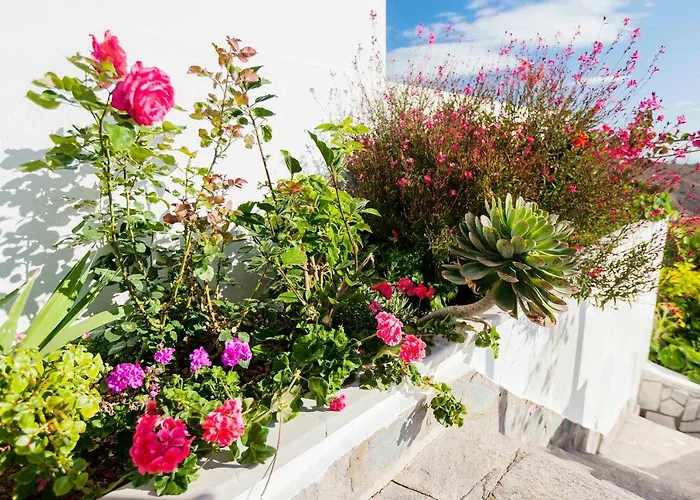 Vila Sara In - Sara Vacation Costa Adeje (Tenerife)